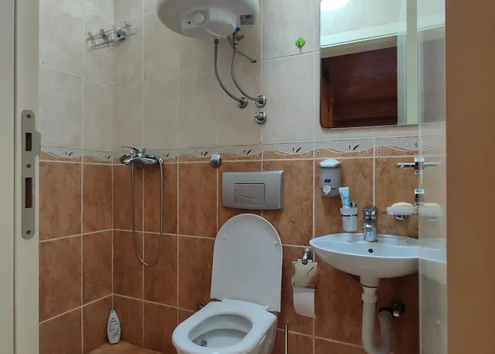 Ns Dan Daire Novi Sad